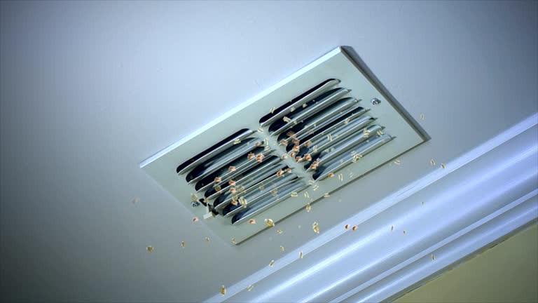 Best HVAC System Cleaning  in Country Club Hls, IL