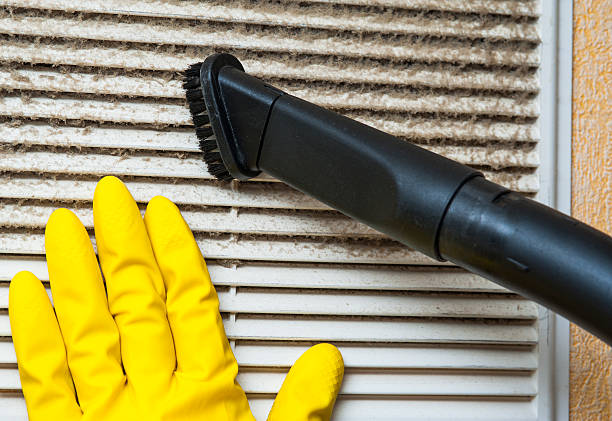 Air Duct Mold Removal in IL