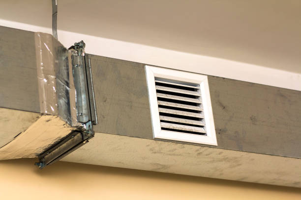 Best Air Duct Mold Removal  in Country Club Hls, IL